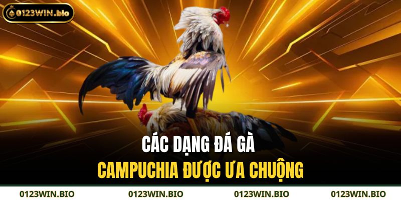 Các dạng đá gà Campuchia được ưa chuộng