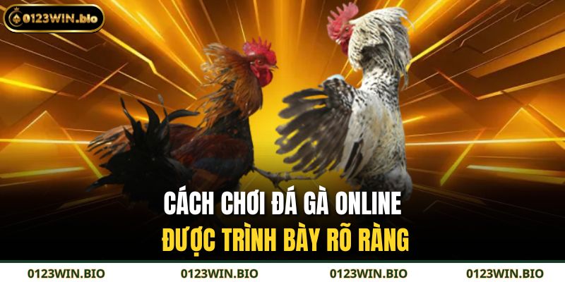 Cách chơi đá gà online được trình bày rõ ràng