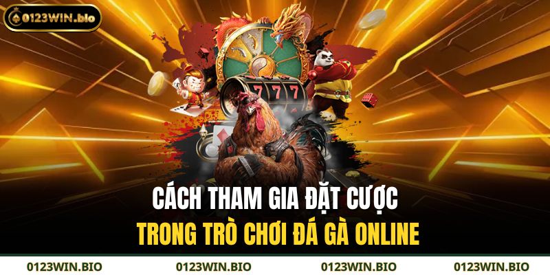Cách tham gia đặt cược trong trò chơi đá gà online