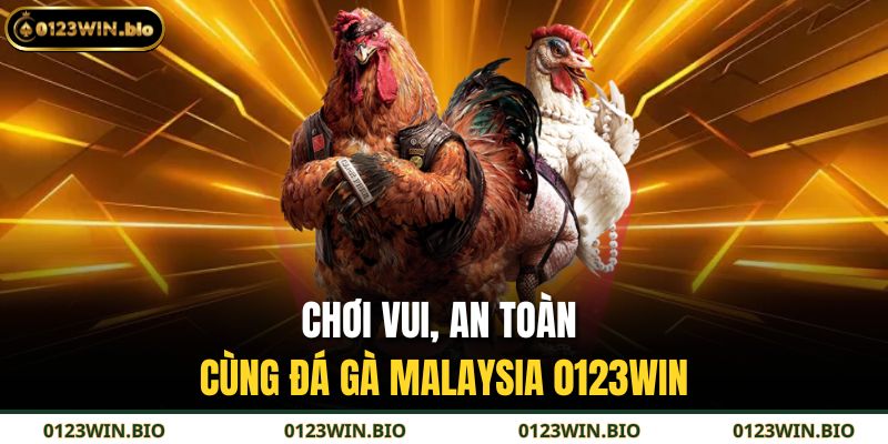 Chơi vui, an toàn cùng Đá gà Malaysia 0123WIN