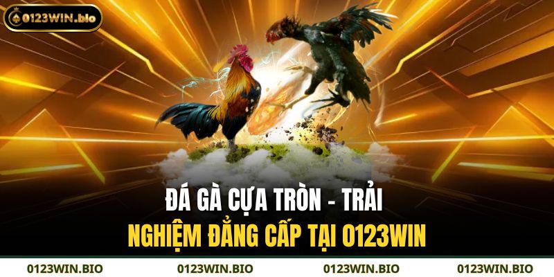 Đá Gà Cựa Tròn – Trải Nghiệm Đẳng Cấp Tại 0123WIN 9 đá gà cựa tròn