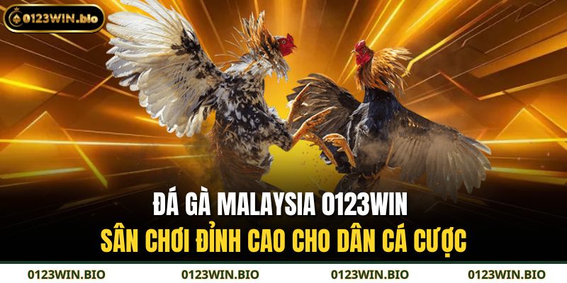 Đá Gà Malaysia 0123WIN – Sân Chơi Đỉnh Cao Cho Dân Cá Cược 3 Đá gà Malaysia 0123WIN