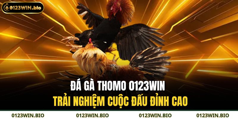 Đá Gà Thomo 0123WIN - Trải Nghiệm Cuộc Đấu Đỉnh Cao 1 Đá gà Thomo 0123WIN