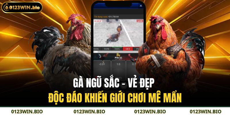 Gà Ngũ Sắc – Vẻ Đẹp Độc Đáo Khiến Giới Chơi Mê Mẩn 5 gà ngũ sắc