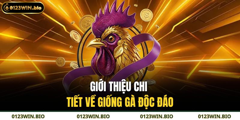 Giới thiệu chi tiết về giống gà độc đáo