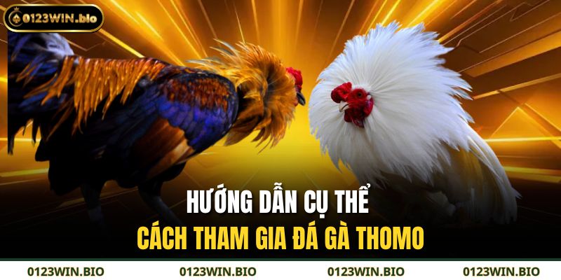 Hướng dẫn cụ thể cách tham gia đá gà Thomo