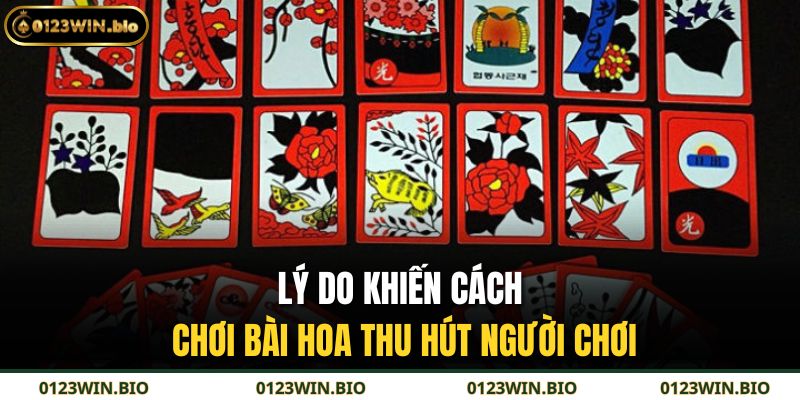 Lý do khiến cách chơi bài hoa thu hút người chơi