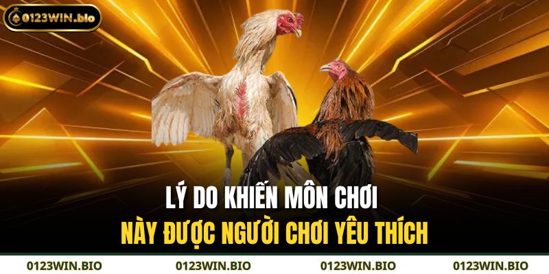 Lý do khiến môn chơi này được người chơi yêu thích
