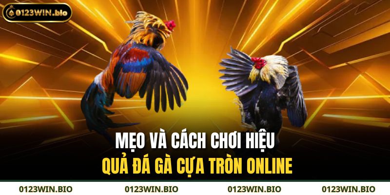 Mẹo và cách chơi hiệu quả đá gà cựa tròn online