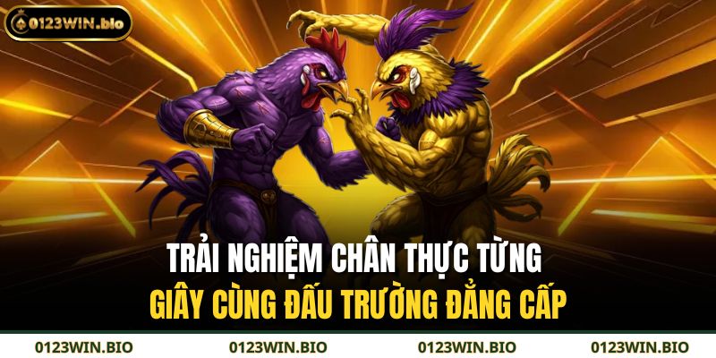 Trải nghiệm chân thực từng giây cùng đấu trường đẳng cấp