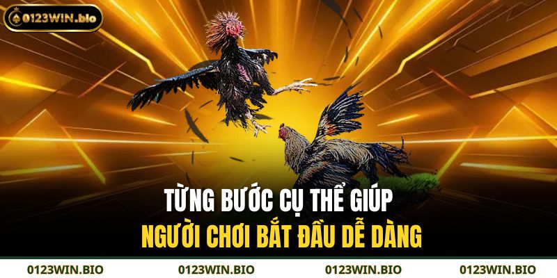 Từng bước cụ thể giúp người chơi bắt đầu dễ dàng